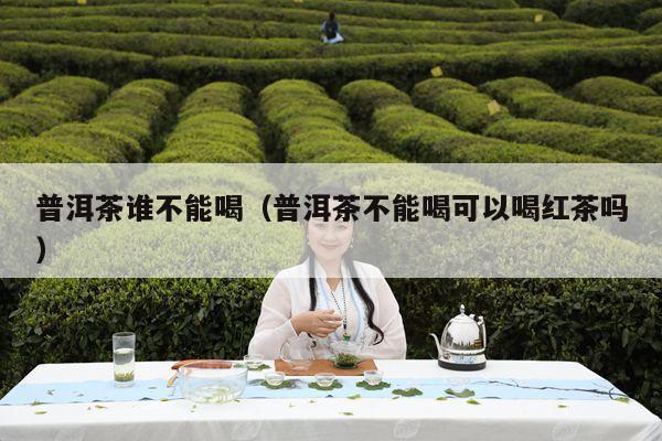 普洱茶谁不能喝（普洱茶不能喝可以喝红茶吗）