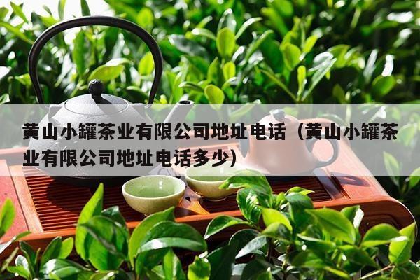 黄山小罐茶业有限公司地址电话（黄山小罐茶业有限公司地址电话多少）