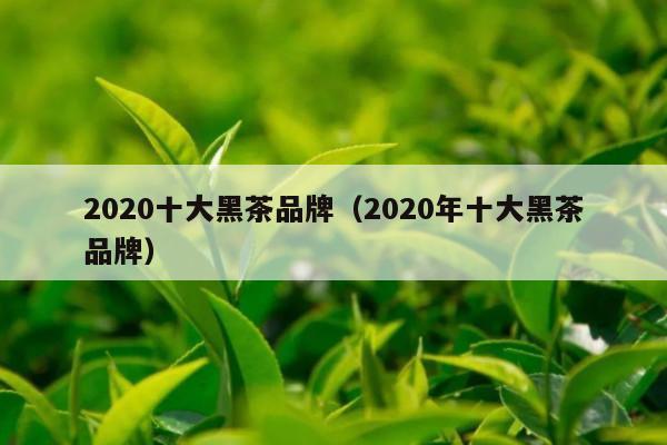 2020十大黑茶品牌（2020年十大黑茶品牌）