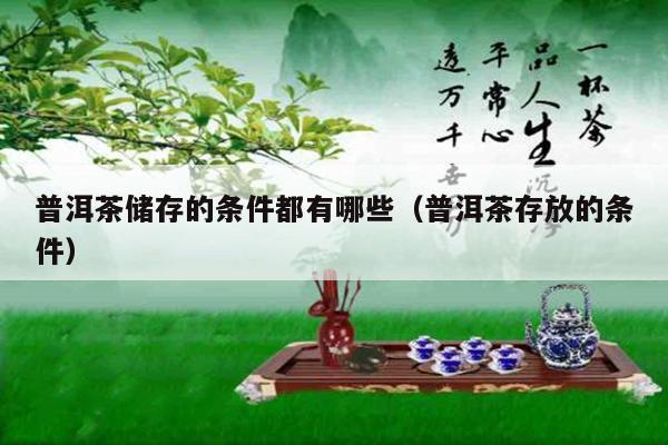 普洱茶储存的条件都有哪些（普洱茶存放的条件）