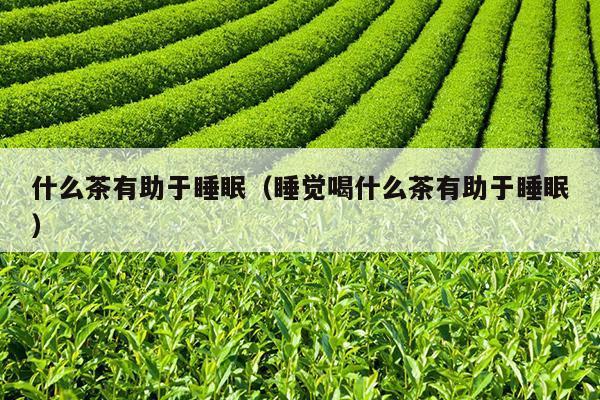 什么茶有助于睡眠（睡觉喝什么茶有助于睡眠）