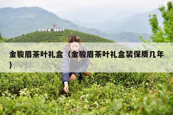 金骏眉茶叶礼盒（金骏眉茶叶礼盒装保质几年）