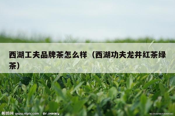 西湖工夫品牌茶怎么样（西湖功夫龙井红茶绿茶）