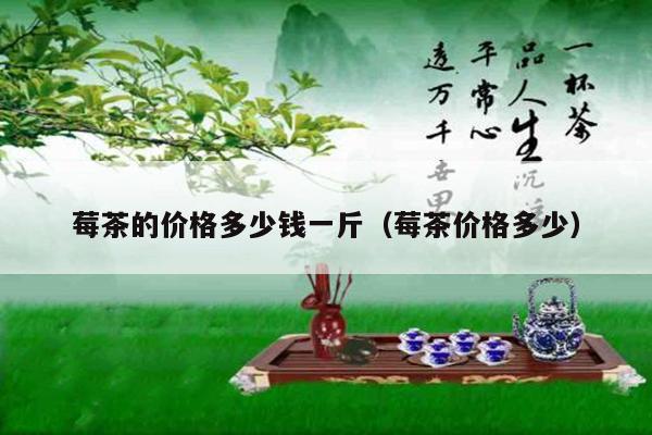 莓茶的价格多少钱一斤（莓茶价格多少）