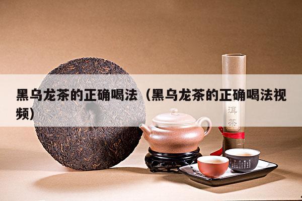 黑乌龙茶的正确喝法（黑乌龙茶的正确喝法视频）