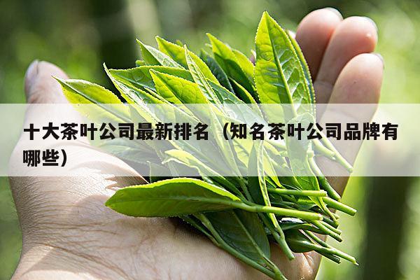 十大茶叶公司最新排名（知名茶叶公司品牌有哪些）