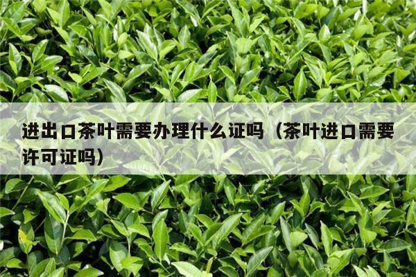 进出口茶叶需要办理什么证吗（茶叶进口需要许可证吗）