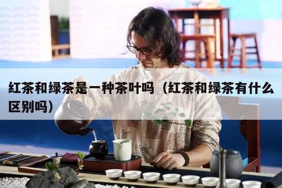 红茶和绿茶是一种茶叶吗（红茶和绿茶有什么区别吗）