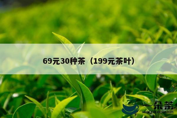 69元30种茶（199元茶叶）