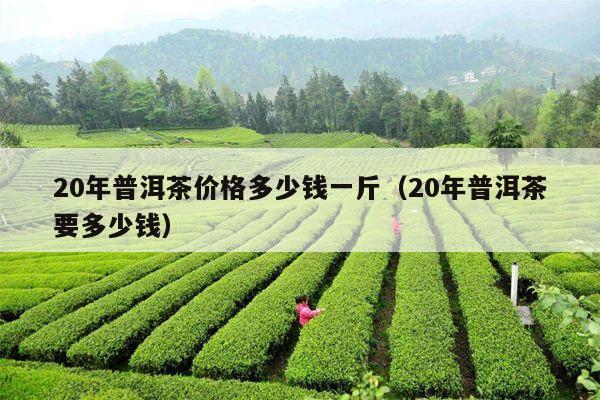 20年普洱茶价格多少钱一斤（20年普洱茶要多少钱）