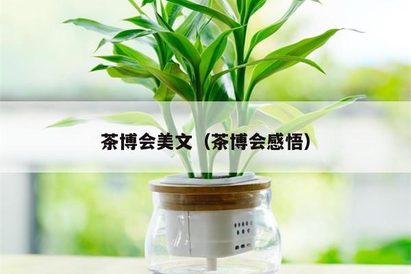 茶博会美文（茶博会感悟）