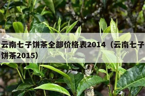 云南七子饼茶全部价格表2014（云南七子饼茶2015）