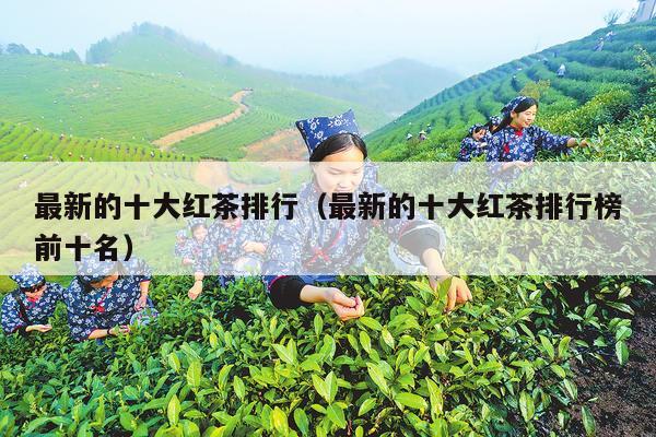 最新的十大红茶排行（最新的十大红茶排行榜前十名）