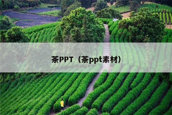 茶PPT（茶ppt素材）