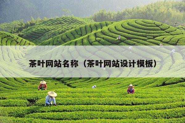 茶叶网站名称（茶叶网站设计模板）