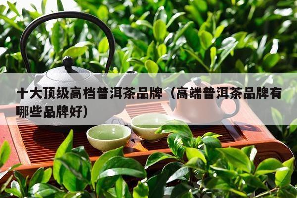 十大顶级高档普洱茶品牌（高端普洱茶品牌有哪些品牌好）