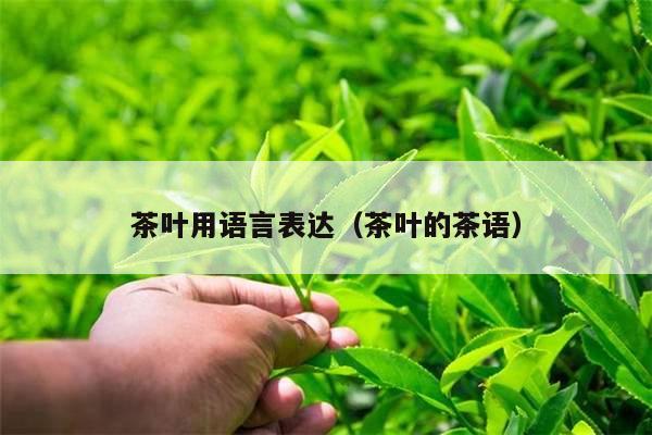 茶叶用语言表达（茶叶的茶语）