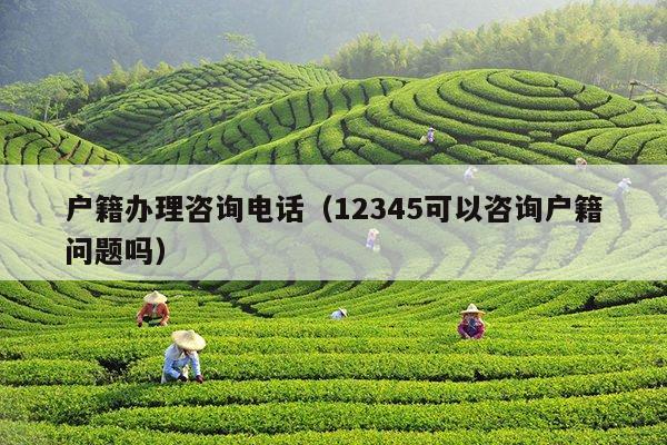 户籍办理咨询电话（12345可以咨询户籍问题吗）