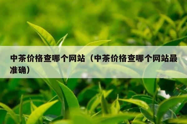 中茶价格查哪个网站（中茶价格查哪个网站最准确）