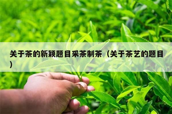 关于茶的新颖题目采茶制茶（关于茶艺的题目）