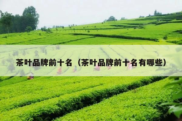 茶叶品牌前十名（茶叶品牌前十名有哪些）