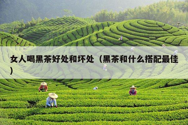 女人喝黑茶好处和坏处（黑茶和什么搭配最佳）