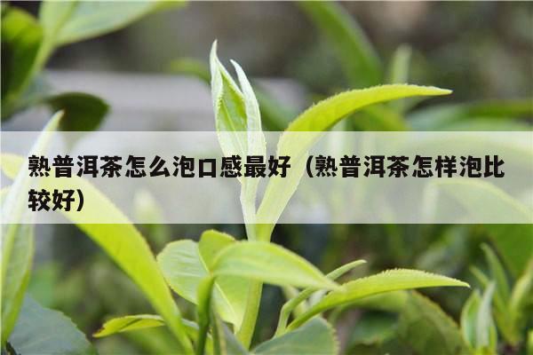 熟普洱茶怎么泡口感最好（熟普洱茶怎样泡比较好）