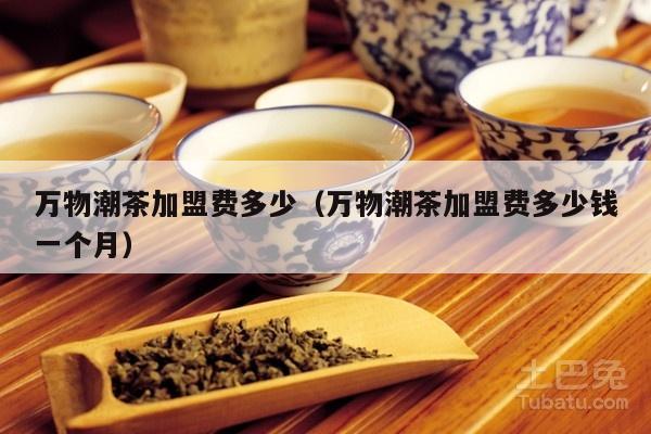 万物潮茶加盟费多少（万物潮茶加盟费多少钱一个月）