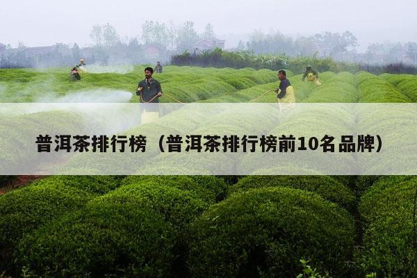 普洱茶排行榜（普洱茶排行榜前10名品牌）