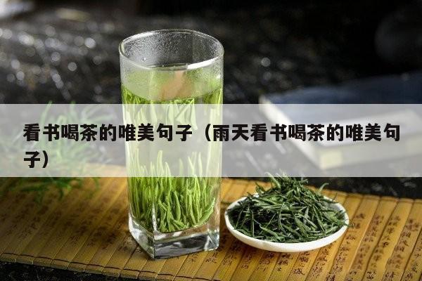 看书喝茶的唯美句子（雨天看书喝茶的唯美句子）