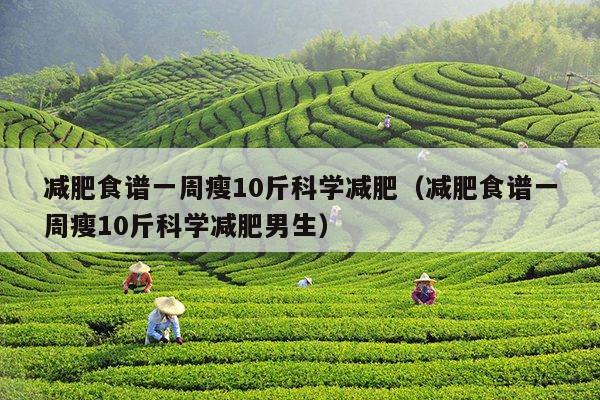 减肥食谱一周瘦10斤科学减肥（减肥食谱一周瘦10斤科学减肥男生）