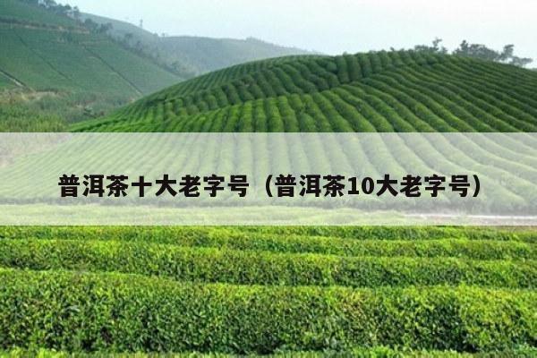 普洱茶十大老字号（普洱茶10大老字号）