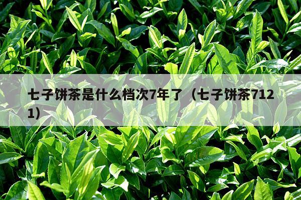 七子饼茶是什么档次7年了（七子饼茶7121）