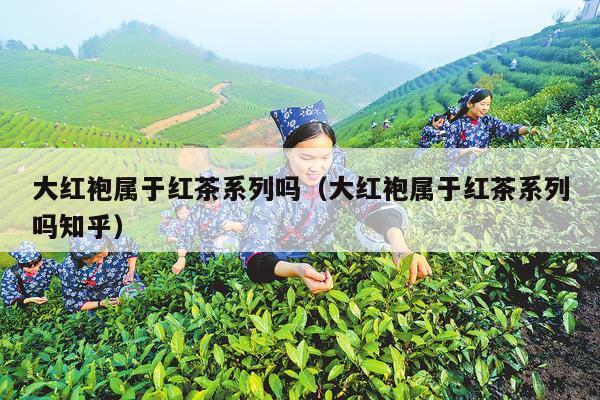 大红袍属于红茶系列吗（大红袍属于红茶系列吗知乎）