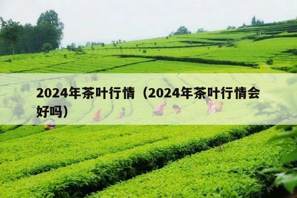 2024年茶叶行情（2024年茶叶行情会好吗）