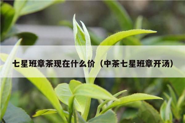 七星班章茶现在什么价（中茶七星班章开汤）