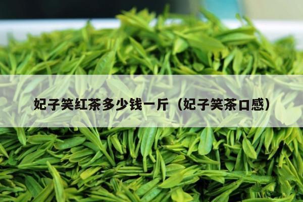 妃子笑红茶多少钱一斤（妃子笑茶口感）