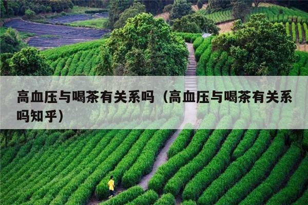 高血压与喝茶有关系吗（高血压与喝茶有关系吗知乎）