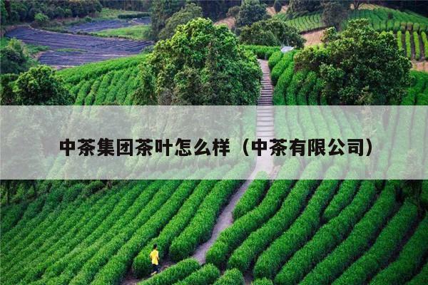 中茶集团茶叶怎么样（中茶有限公司）