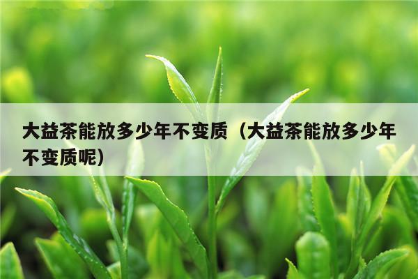 大益茶能放多少年不变质（大益茶能放多少年不变质呢）