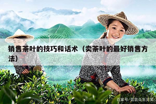 销售茶叶的技巧和话术（卖茶叶的最好销售方法）