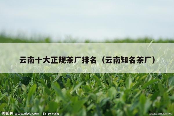 云南十大正规茶厂排名（云南知名茶厂）