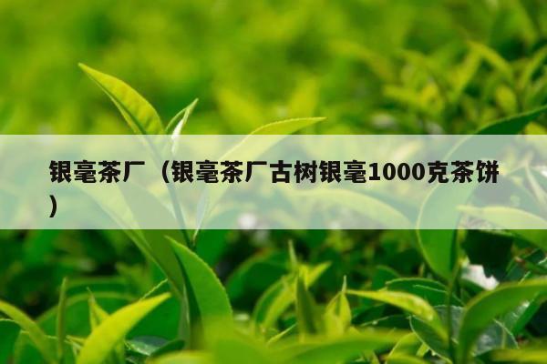 银毫茶厂（银毫茶厂古树银毫1000克茶饼）