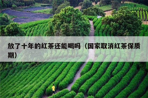 放了十年的红茶还能喝吗（国家取消红茶保质期）