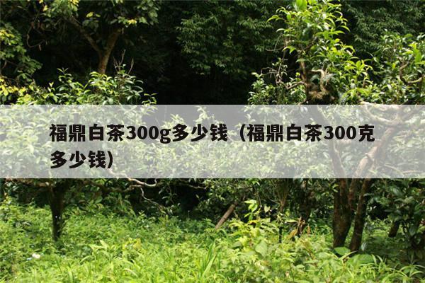 福鼎白茶300g多少钱（福鼎白茶300克多少钱）