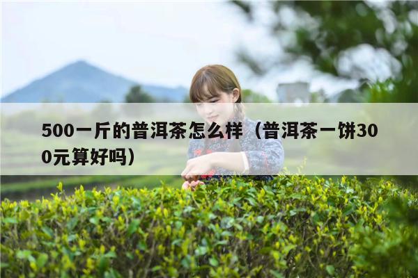 500一斤的普洱茶怎么样（普洱茶一饼300元算好吗）