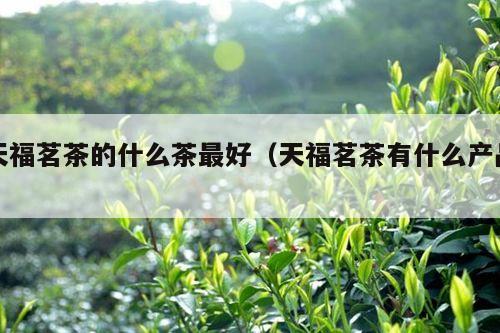 天福茗茶的什么茶最好（天福茗茶有什么产品）