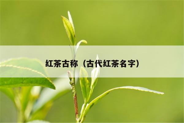 红茶古称（古代红茶名字）