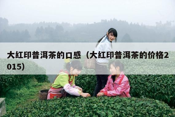 大红印普洱茶的口感（大红印普洱茶的价格2015）