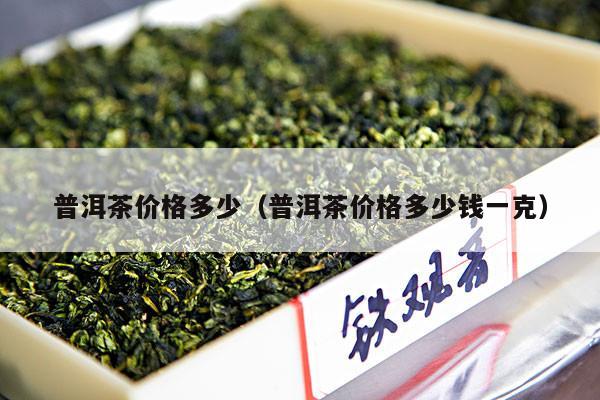 普洱茶价格多少（普洱茶价格多少钱一克）